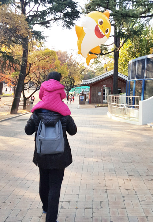  아빠의 출산준비 (정부지원 출산혜택 받기, 보험 수정 등)