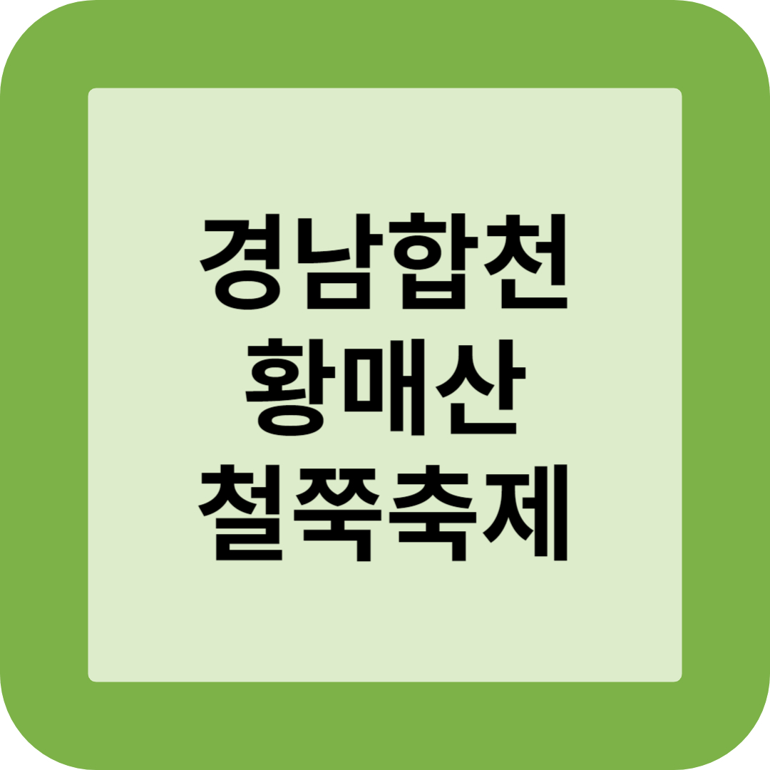 경남 합천 황매산 철쭉 축제 썸네일