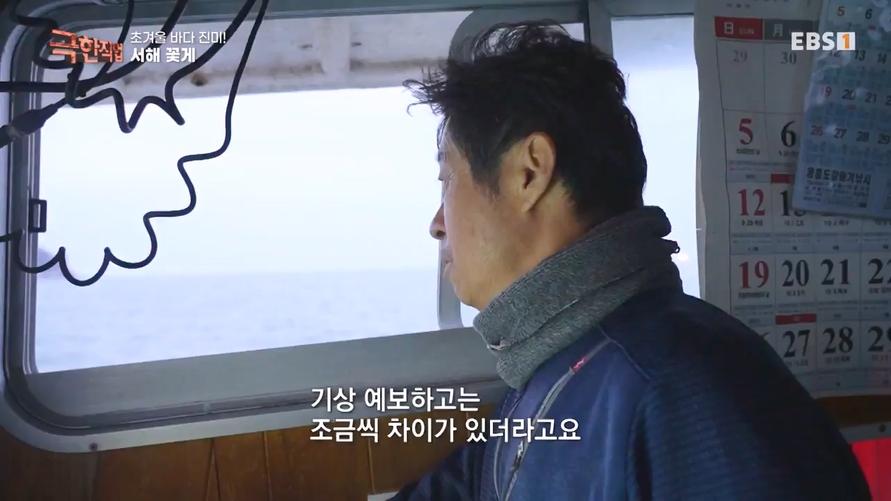 TV - 전 국민의 평생학교 EBS초겨울 바다 진미! 동해 방어, 서해 꽃게.mp4_20231228_204345.131.jpg