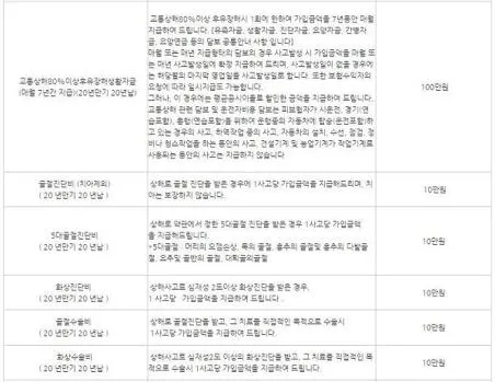 동부화재 운전자보험 보장내용