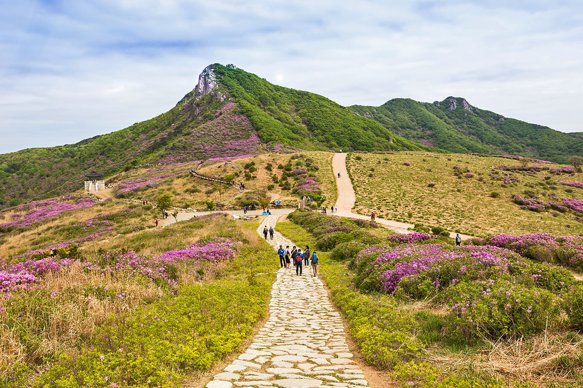 황매산 등산코스