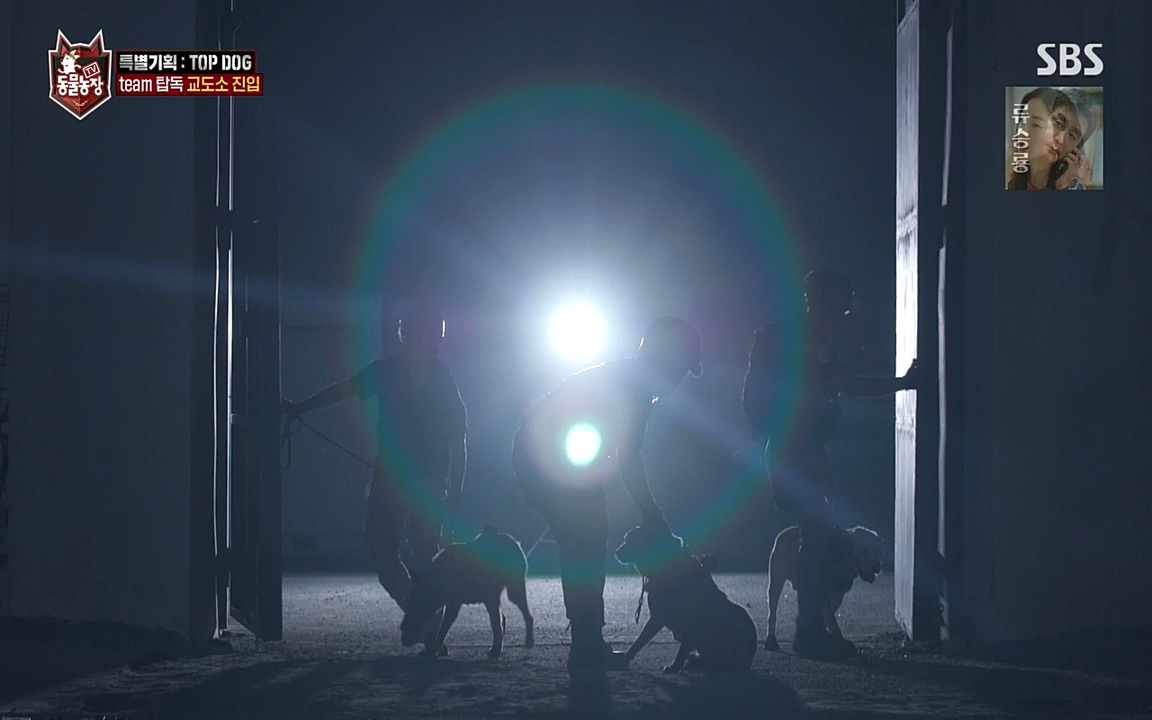 TV 동물농장.E1085.220905p-NEXT.mp4_20220904_173605.118.jpg