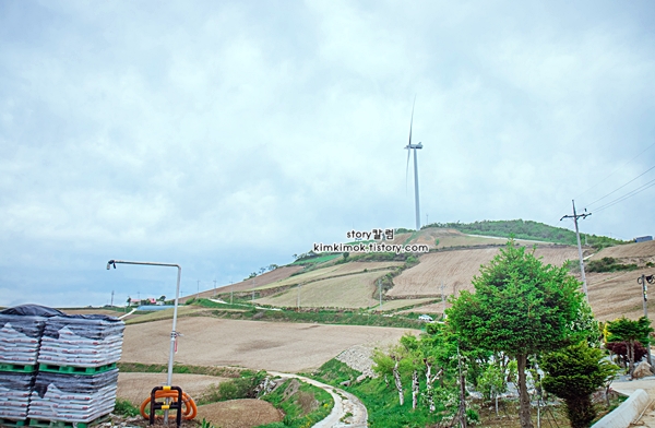 강릉 가볼만한곳 베스트10