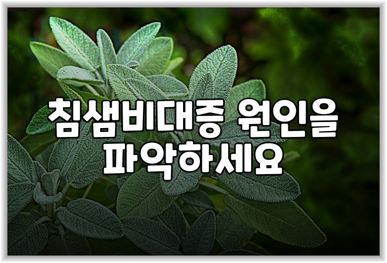 침샘비대증 원인을 파악하세요