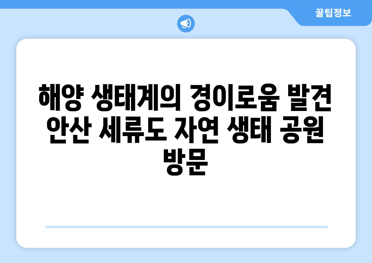 해양 생태계의 경이로움 발견 안산 세류도 자연 생태 공원 방문