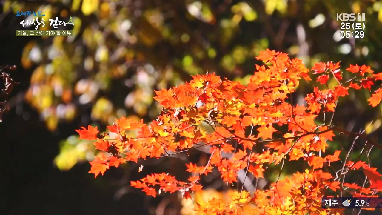 트레킹노트 세상을 걷다.E298.231126p-NEXT.mp4_20231205_210938.139.jpg