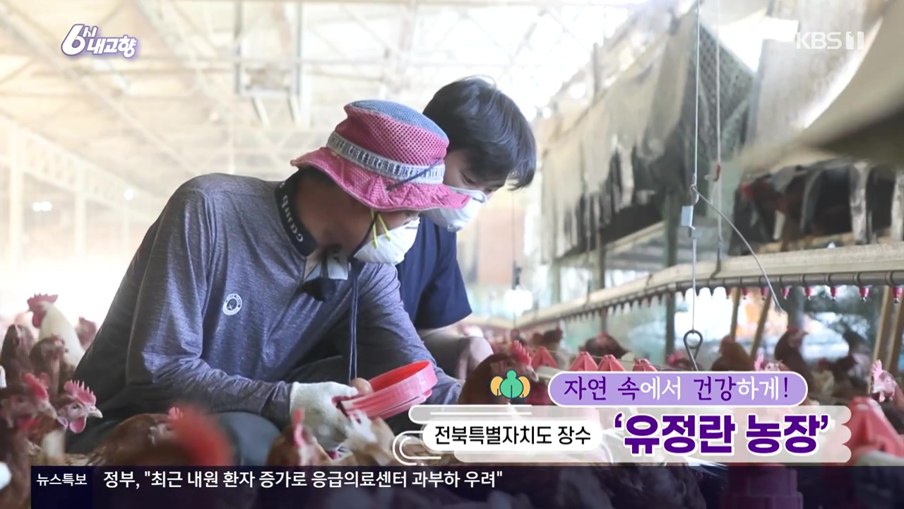 6시 내고향.E8057.240525p-NEXT.mp4_20240525_155648.402.jpg