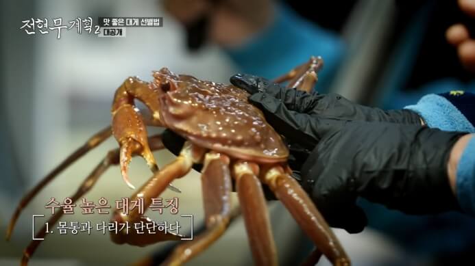 영덕대게 이미지
