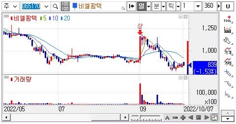 비엘팜텍-주가차트