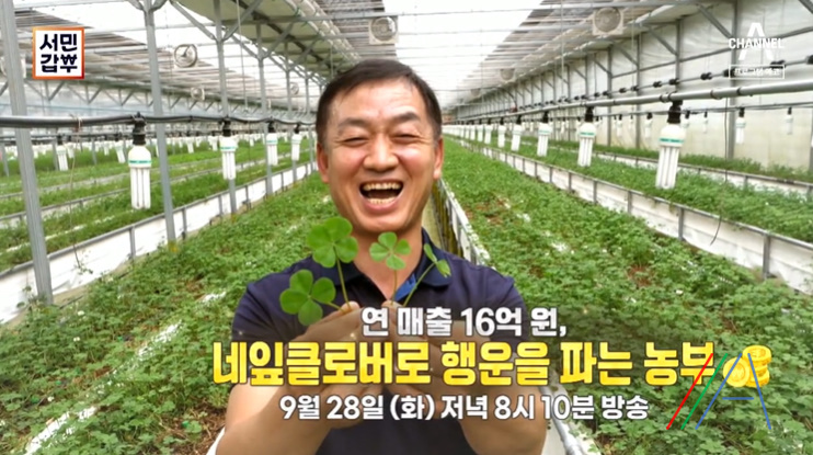  채널 a서민갑부 351회 네잎클로버