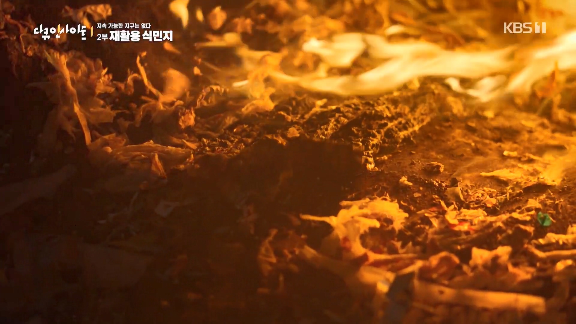 다큐 인사이트.E181.240118p.H264-F1RST.mp4_20240119_202910.511.jpg