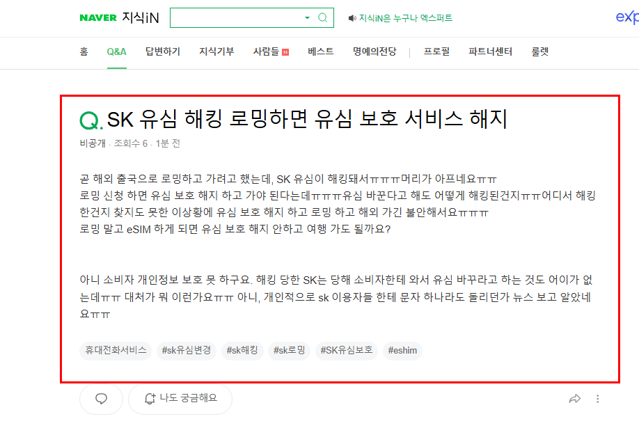 sk유심 보호 서비스 질문 지식인