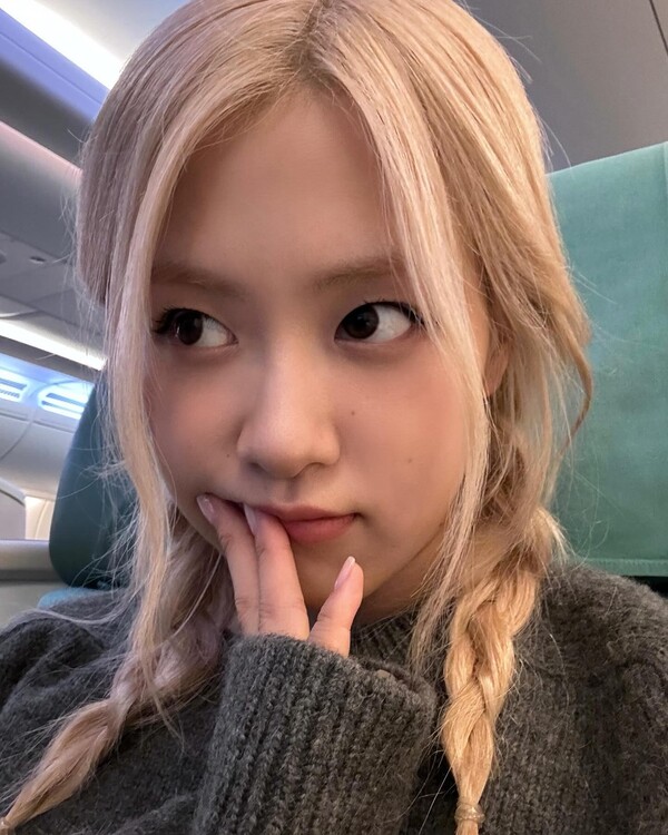 로제 사진