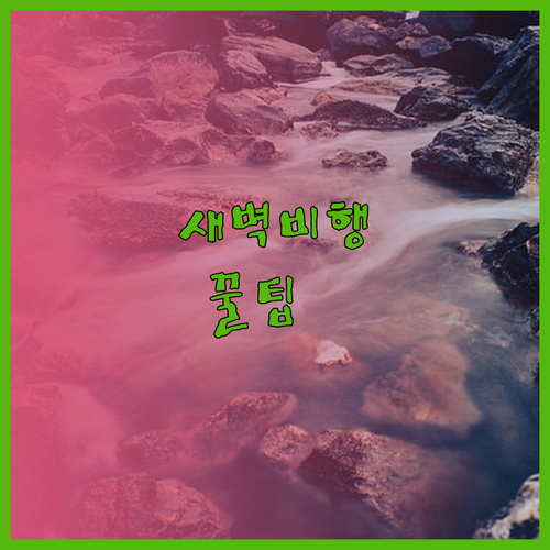 새벽 비행 걱정 끝! 시드니 공항 호