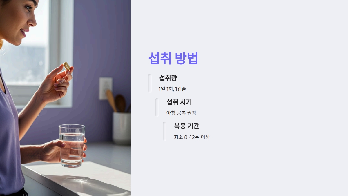 YT1 유산균 효능