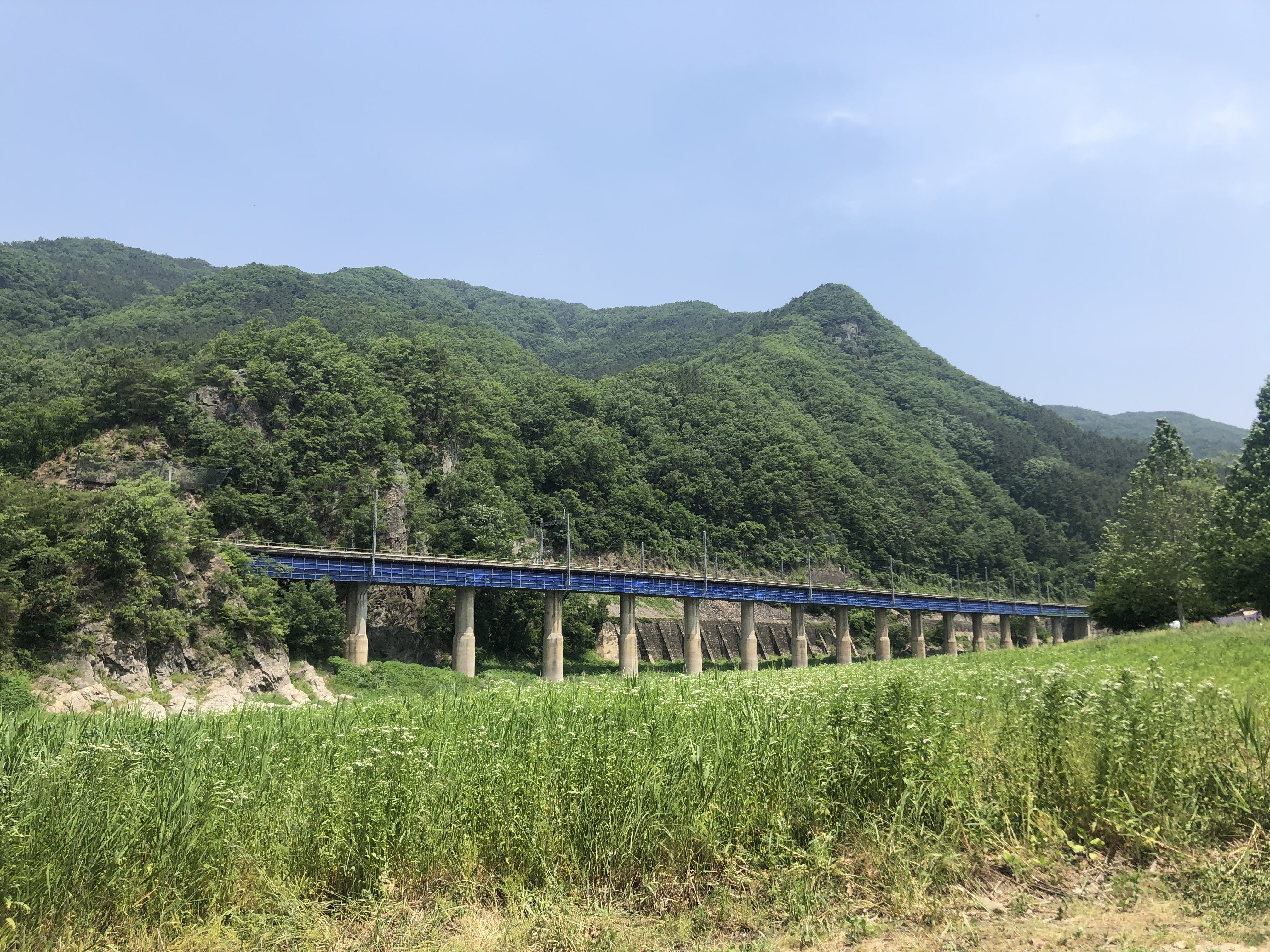  충주 삼탄유원지에서 하룻밤 캠핑 즐기기