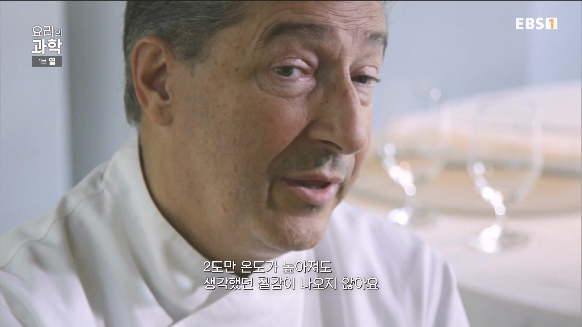 [다큐 스페셜] 요리의 과학 - 1부 열.mp4_20240411_194558.923.jpg
