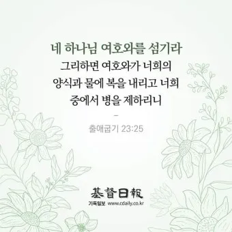 오늘의 성경 말씀 시편 119 하나님의 빛_26