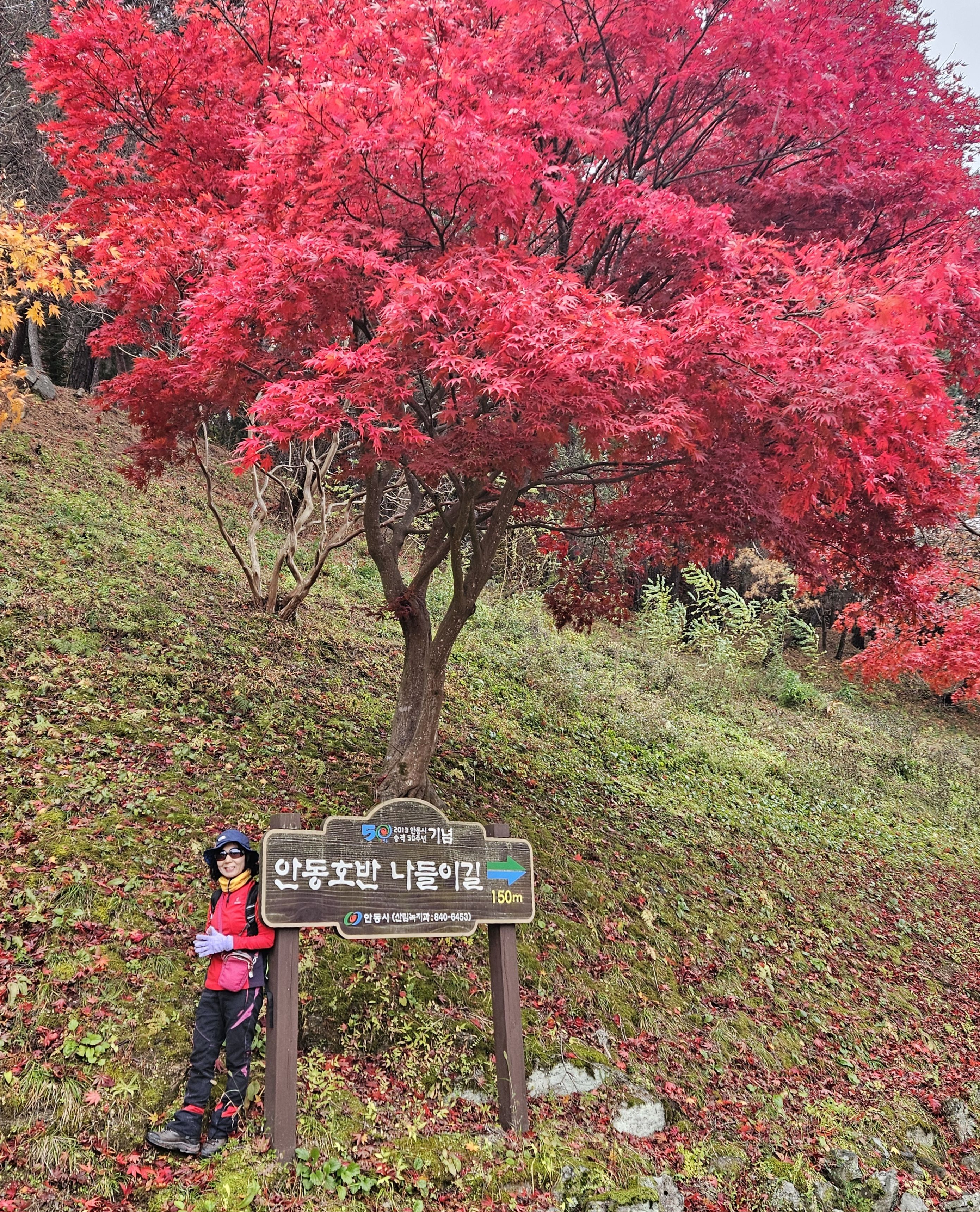 삼각점 이미지