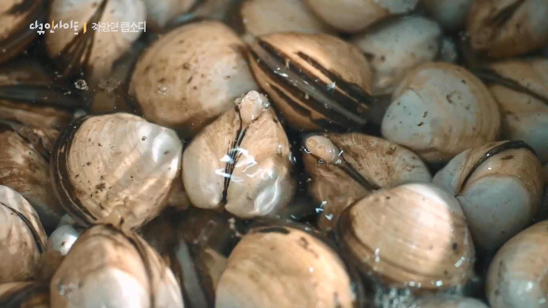 다큐 인사이트 짜장면 랩소디.E2p.WV.WEB-DL.AAC.H264.mp4_20240216_210515.995.jpg