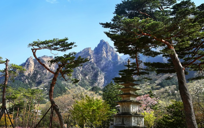 설악산케이블카 예약 바로가기 왕복요금 운행시간 주차장 