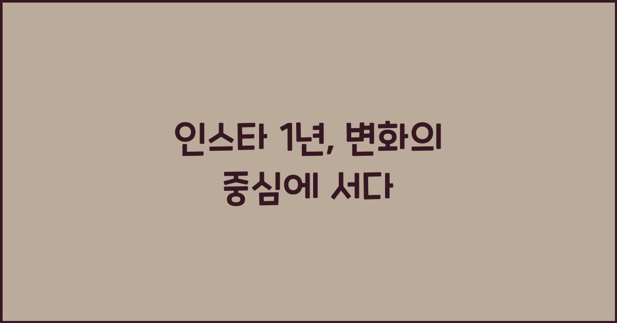 인스타 1년