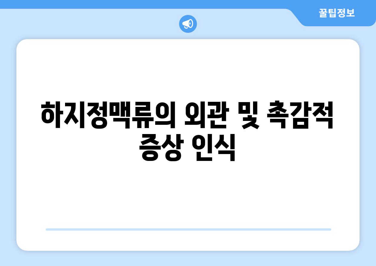 하지정맥류의 외관 및 촉감적 증상 인식