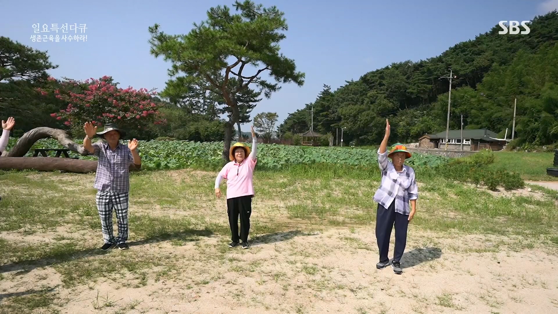 일요 특선 다큐멘터리.E319.230910p.H264-F1RST.mp4_20230918_202637.129.jpg