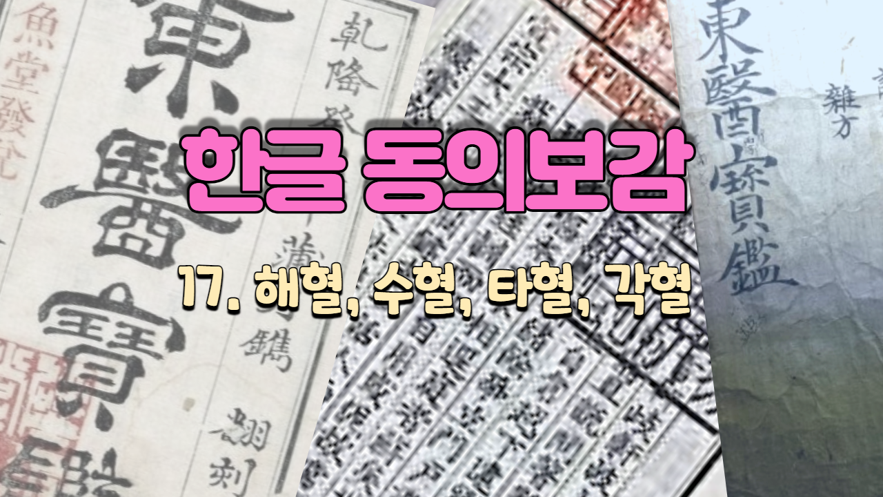  17. 해혈, 수혈, 타혈, 각혈 ( 내경편 혈 )
