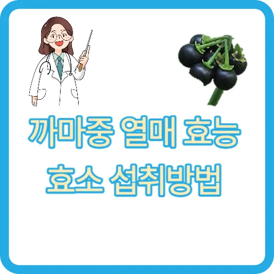 까마중 열매 효능 효소 섭취방법