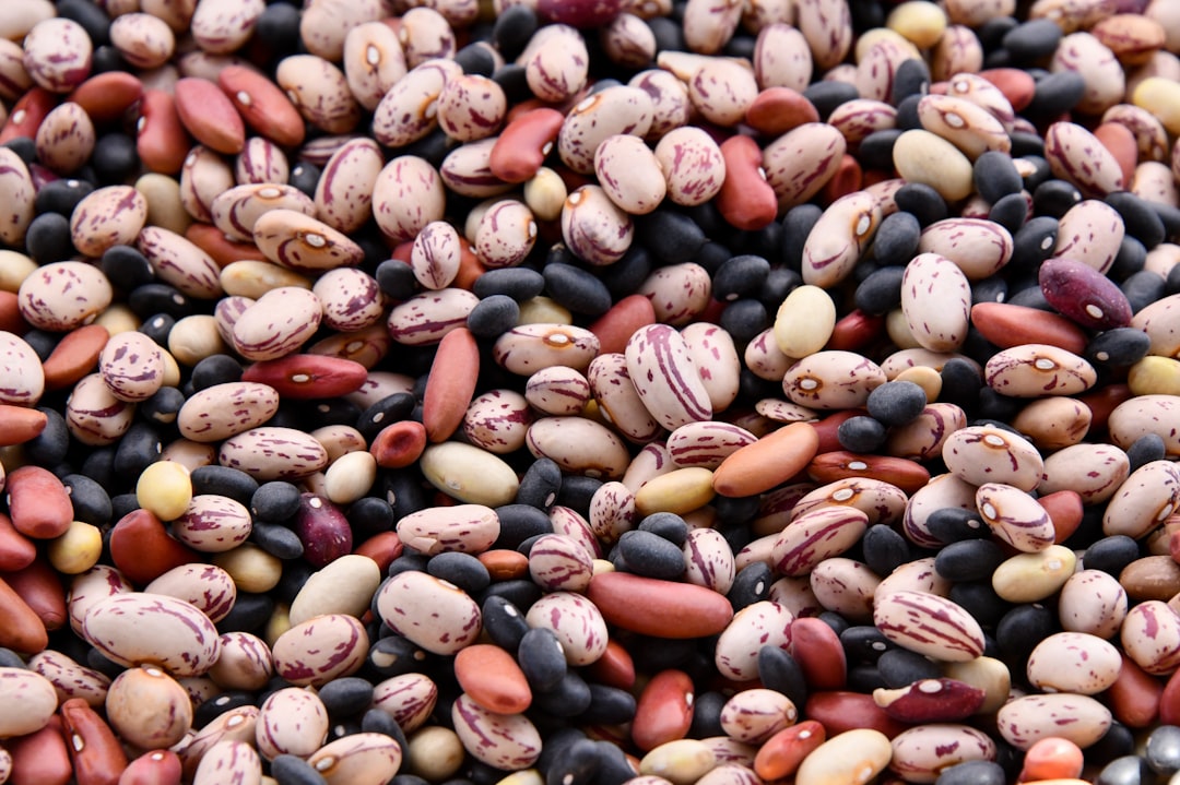 mung bean