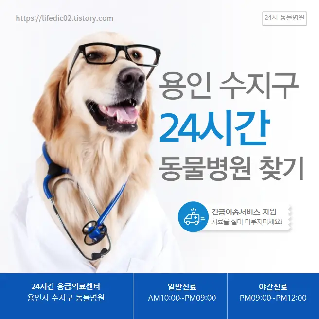  용인 수지구 24시간 동물병원 근처 야간 일요일 강아지 병원 찾기