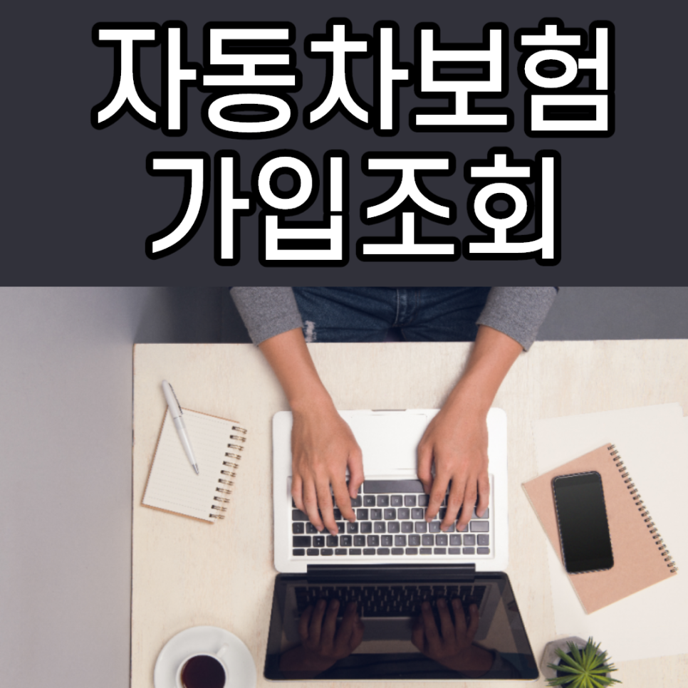 별도 내용 확인 자동차 보험 가입 조회 연령 3