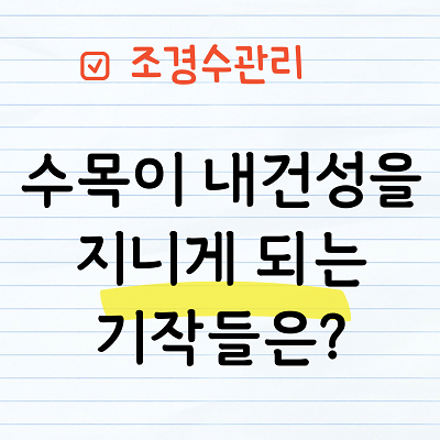 수목의 내건성 기작은?