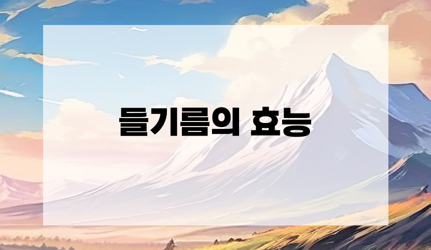 들기름의 효능