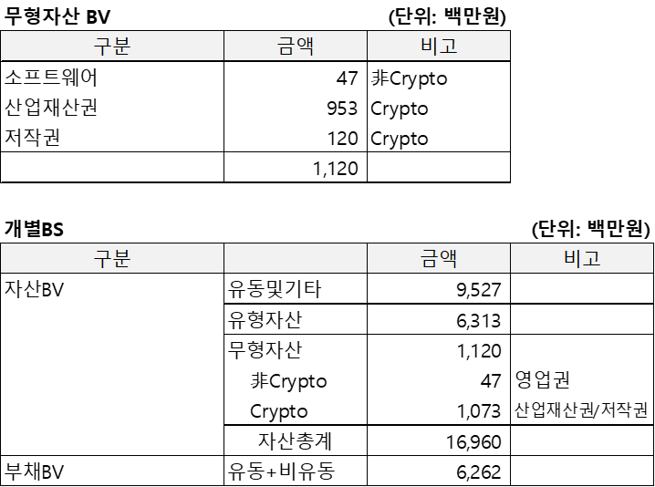코인플러그(2022.12)의 무형자산BV 및 개별BS를 정리한 표