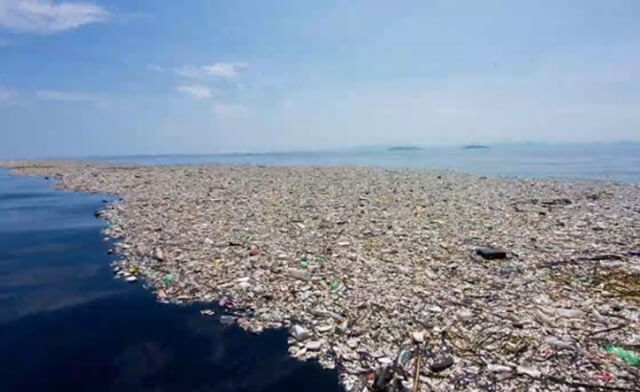 태평양-쓰레기섬