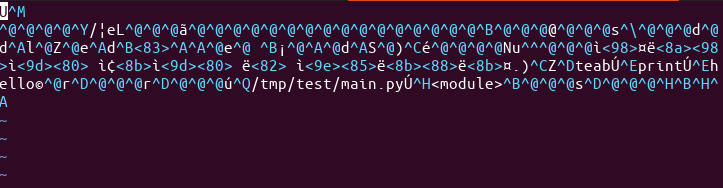 [Linux/Python] 파이썬 Py_Compile 활용 파이썬 코드 C 코드 컴파일 예제 - 1(단일 소스코드 컴파일)