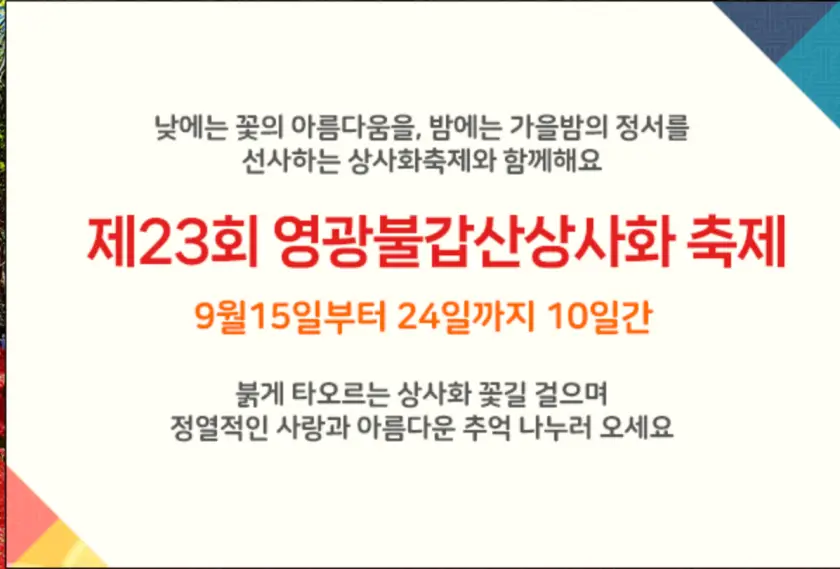 영광불갑산상사화 축제