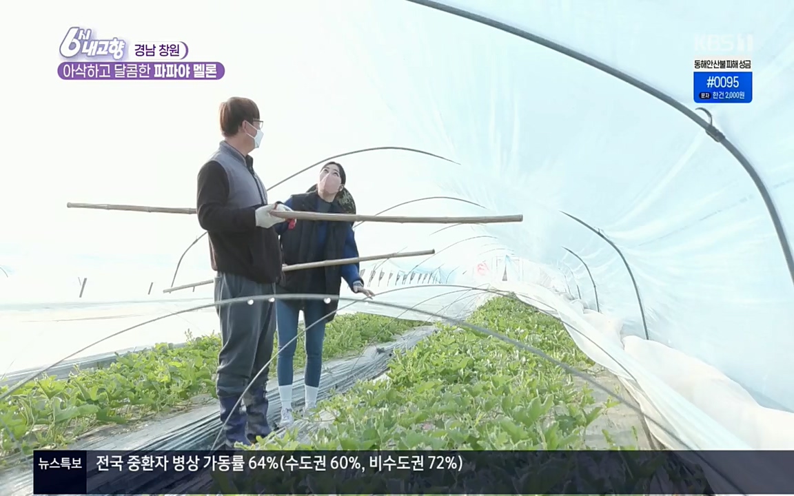 6시 내고향.E7501.220332p.H264-F1RST.mp4_20220402_201621.730.jpg