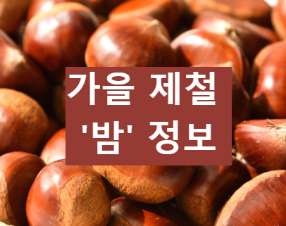 가을 제철 밤