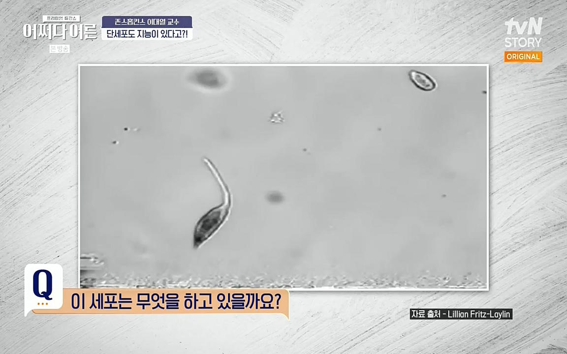 어쩌다 어른.E06.220715p-NEXT.mp4_20220912_142316.388.jpg