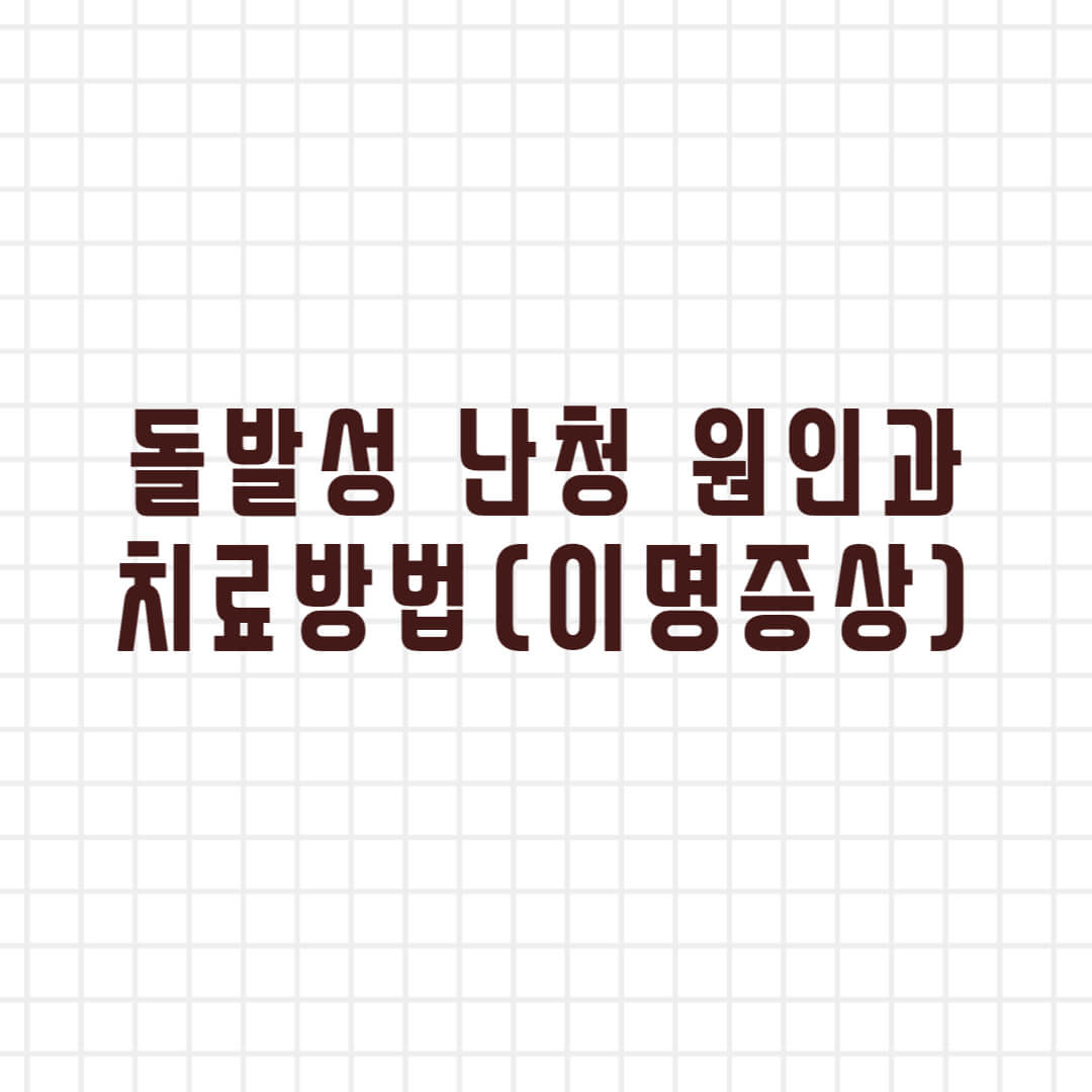 한쪽 귀 먹먹 돌발성 난청