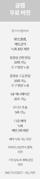 곰캠 프로 다운로드 PC 컴퓨터 화면 녹화하기, 게임 화면 18
