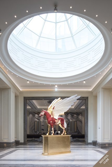 허스트(Hirst) 이미지