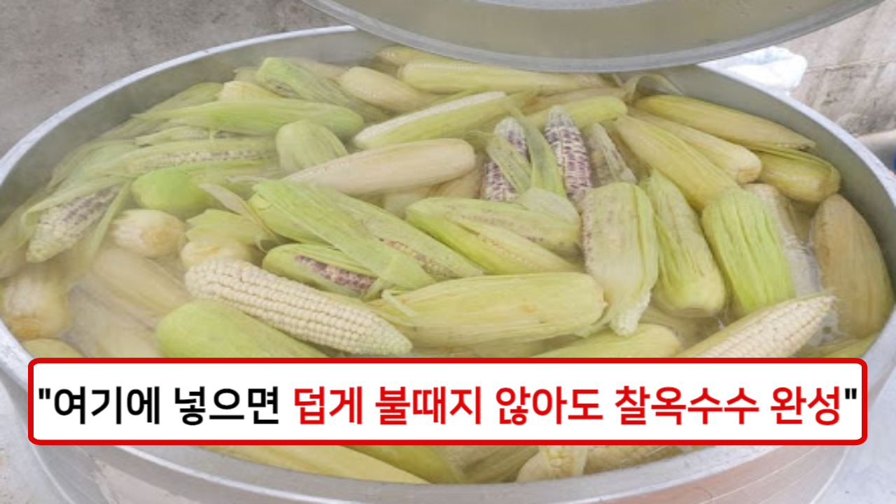 “뜨거운 주방에서 옥수수와 마주하고 있지마세요!” 옥수수의 촉촉함을 유지하면서도 집안 온도를 높이지 않고 맛있게 찌는 방법