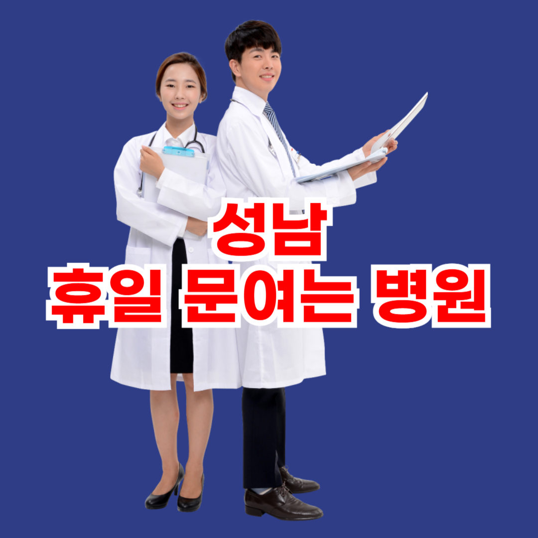 성남 휴일 문여는 병원 위치 운영시간 진료과목