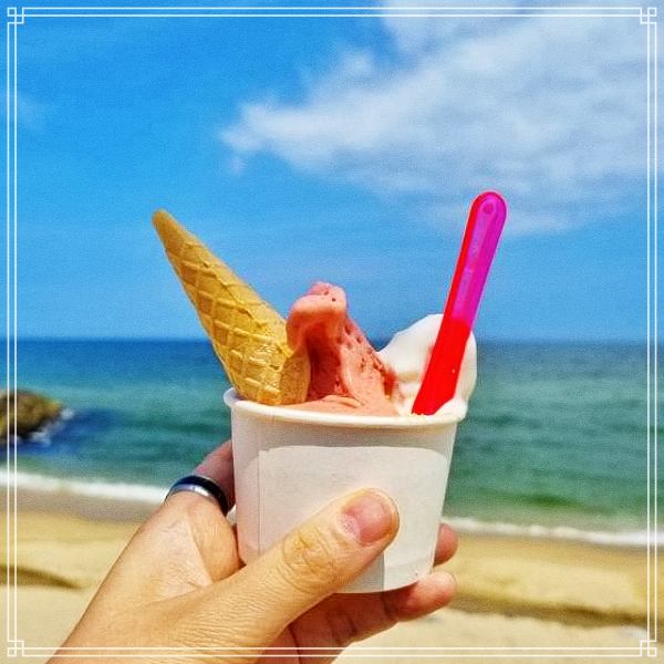  생방송 투데이 강릉, 주문진 드라마 도깨비 촬영지 여행, 디저트 카페, 초당 순두부 젤라또 7월 6일 보고, 먹고, 즐기고 3GO 여행 흑임자 아이스크림, 꿀 케이크 위치