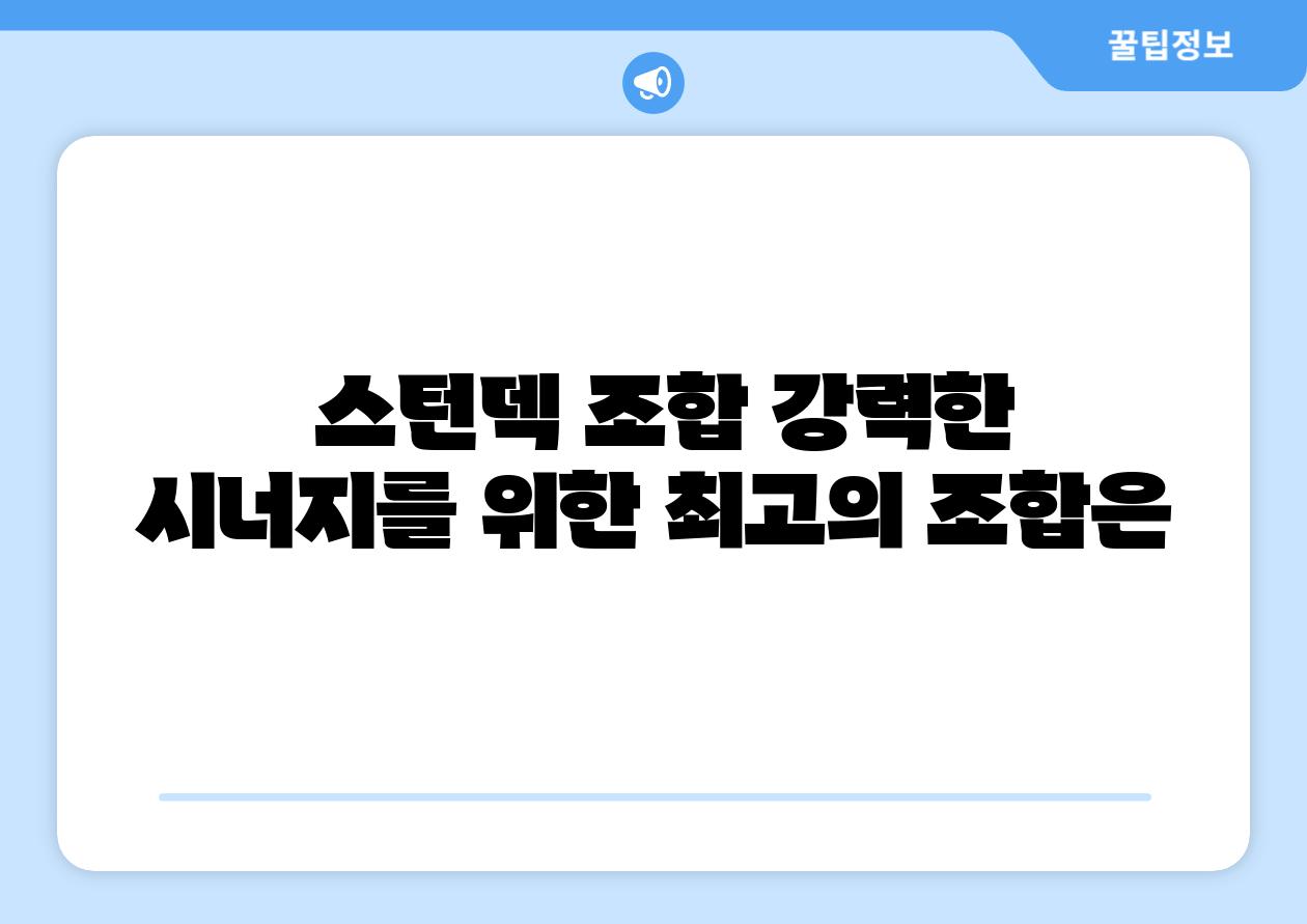  스턴덱 조합 강력한 시너지를 위한 최고의 조합은