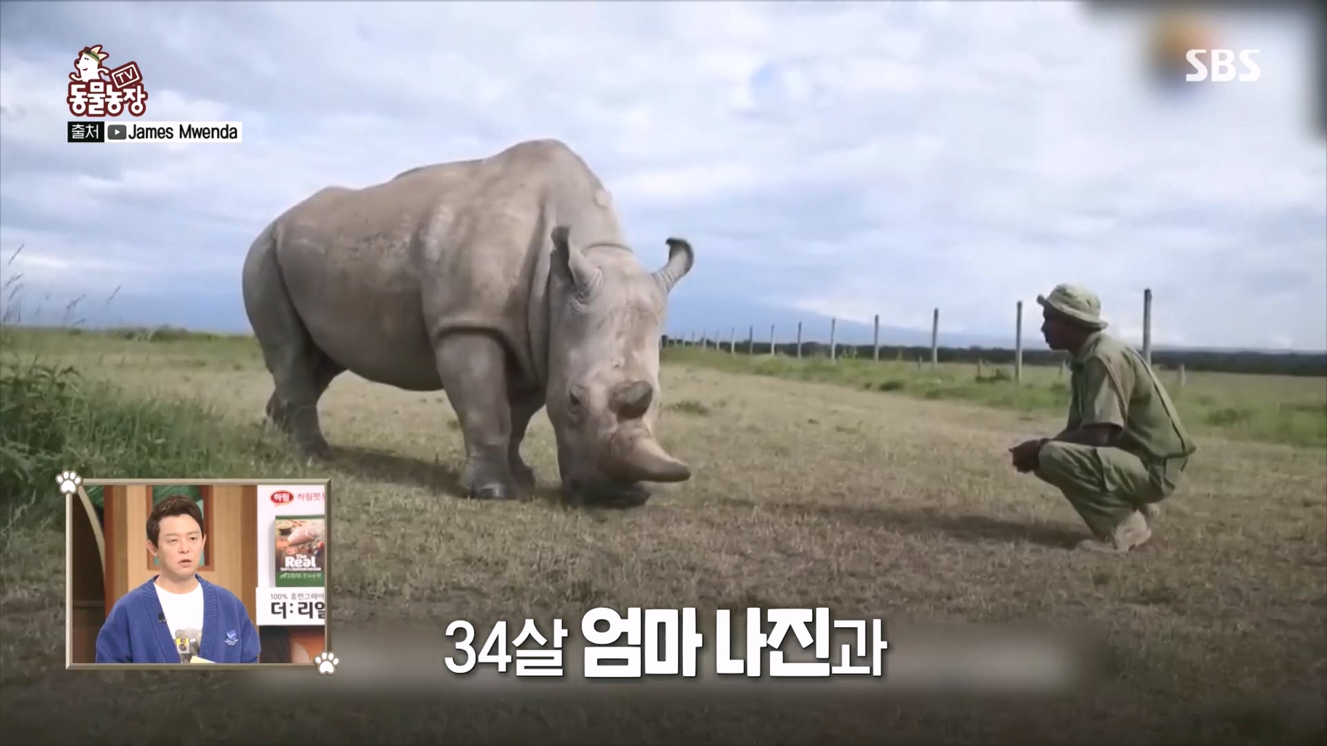 TV 동물농장.E1160.240225p.H264-F1RST.mp4_20240225_162638.941.jpg